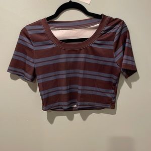 Blue and brown striped cropped t-shirt